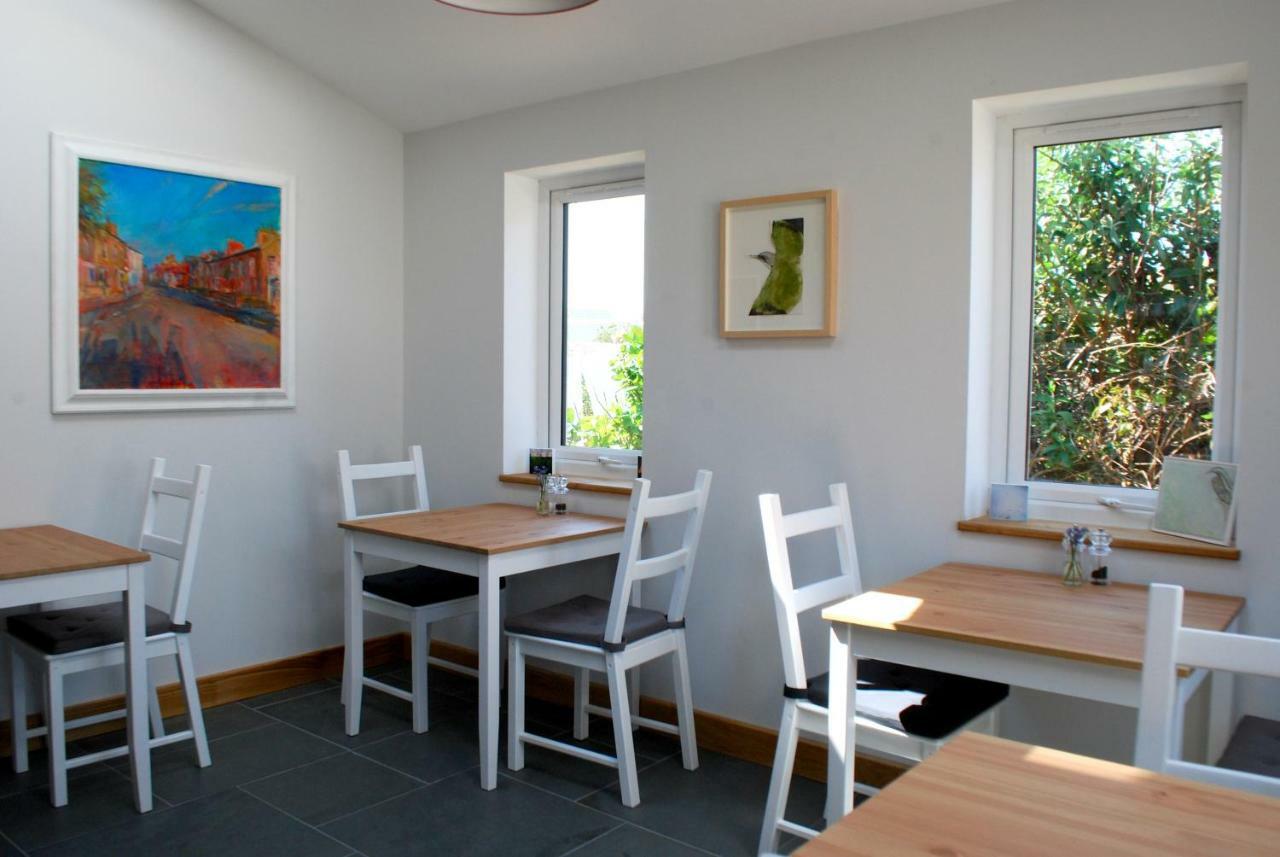 Ty Boia Bed & Breakfast Saint David's Exterior foto